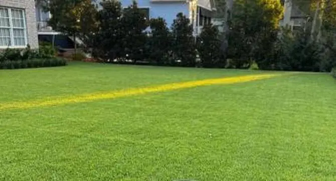 green lawn after core aeration service