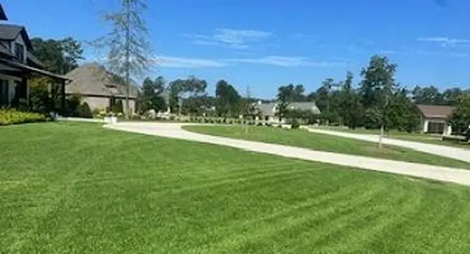 green lawn after professional lawn treatment service
