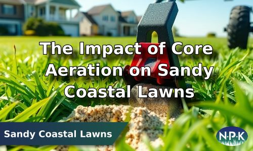 Lawn Care Services