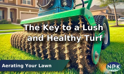 Aerating Your Conway Lawn | Boost Turf Health & Appearance