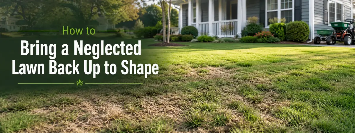 How to Bring a Neglected Lawn Back Up to Shape