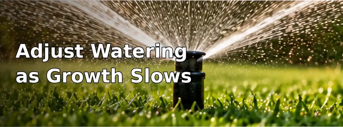 South Carolina lawn watering adjustment as warm-season grass growth slows